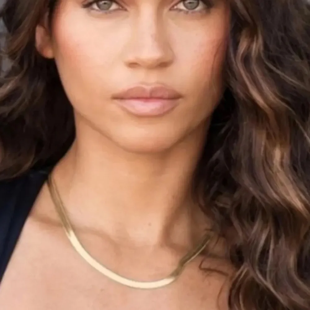 Jennifer‎ Zeuner Allie Necklace, GOLD Herringbone Chain, NWT